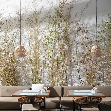 Hotel Rigas Boutique & Afytos