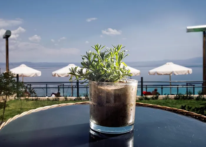 Rigas Boutique & Hotel